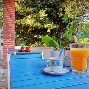 Bed & Breakfast Wanderlust, Pisa